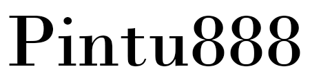Pintu888